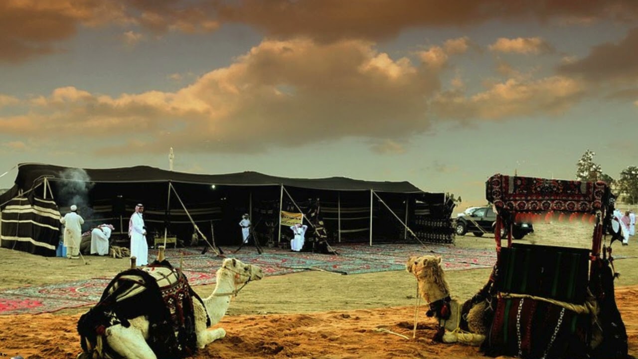 قصة وقصيدة الشيخ عبدالكريم صفوق الجربا@ALI999E