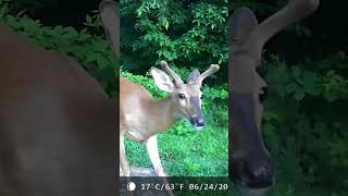 Check Him Out!