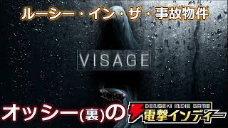 ルーシー・イン・ザ・事故物件【電撃インディー／Visage】