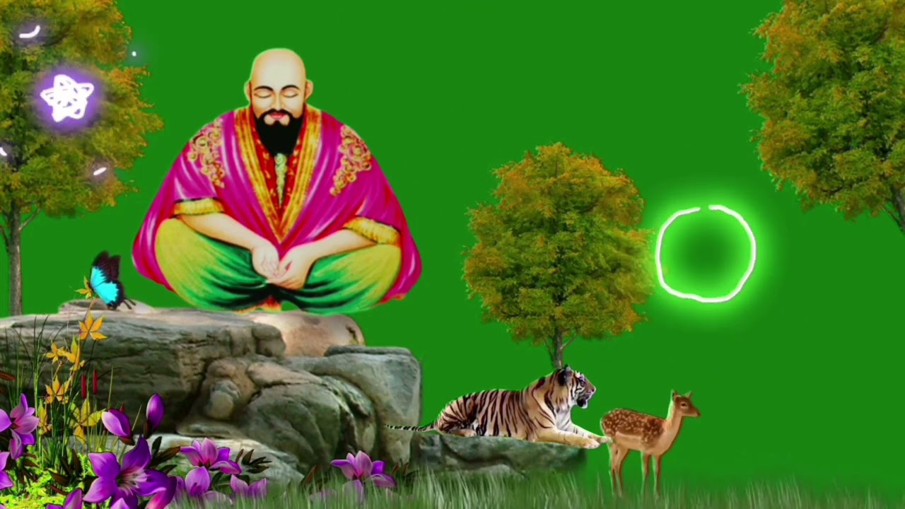 Tera Dar Na Chhute Sailani Qawwali | सैलानी बाबा उर्स 2024 