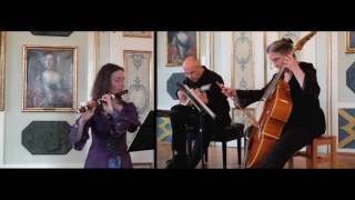 G.f.händel Sonata G-Major Hwv 363B - Allegro