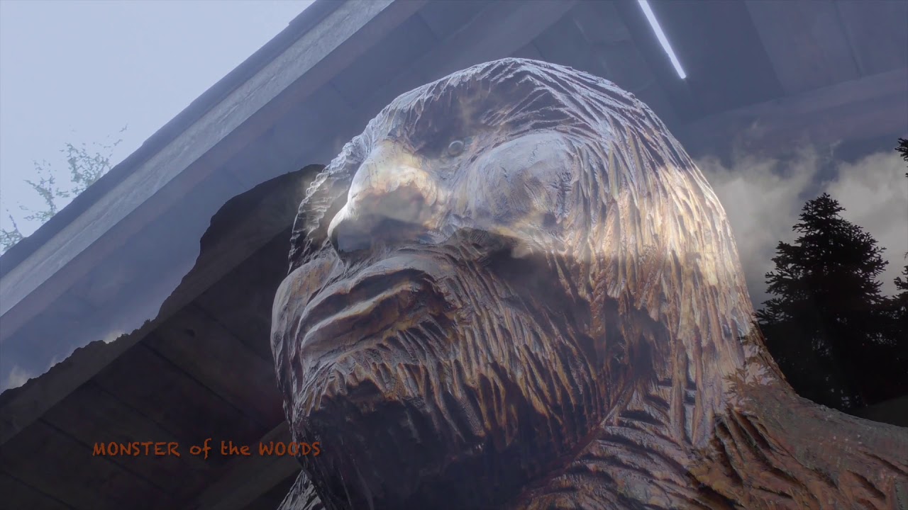 MONSTER of the WOODS Sasquatch shhh! 2019 YouTube