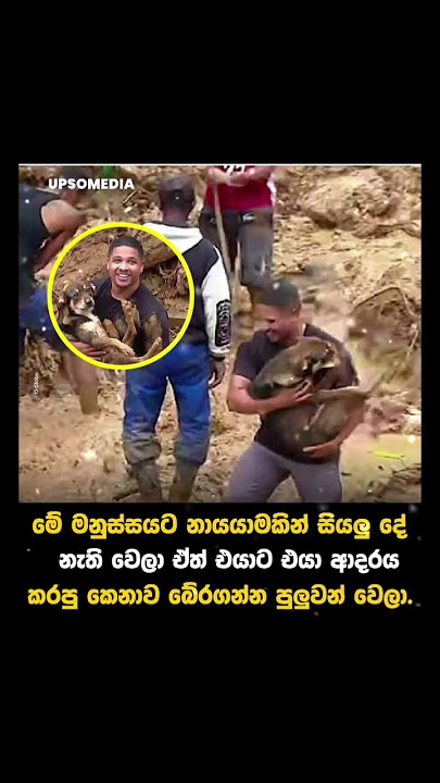 බලන්න එයාගේ මුහුණේ සතුට