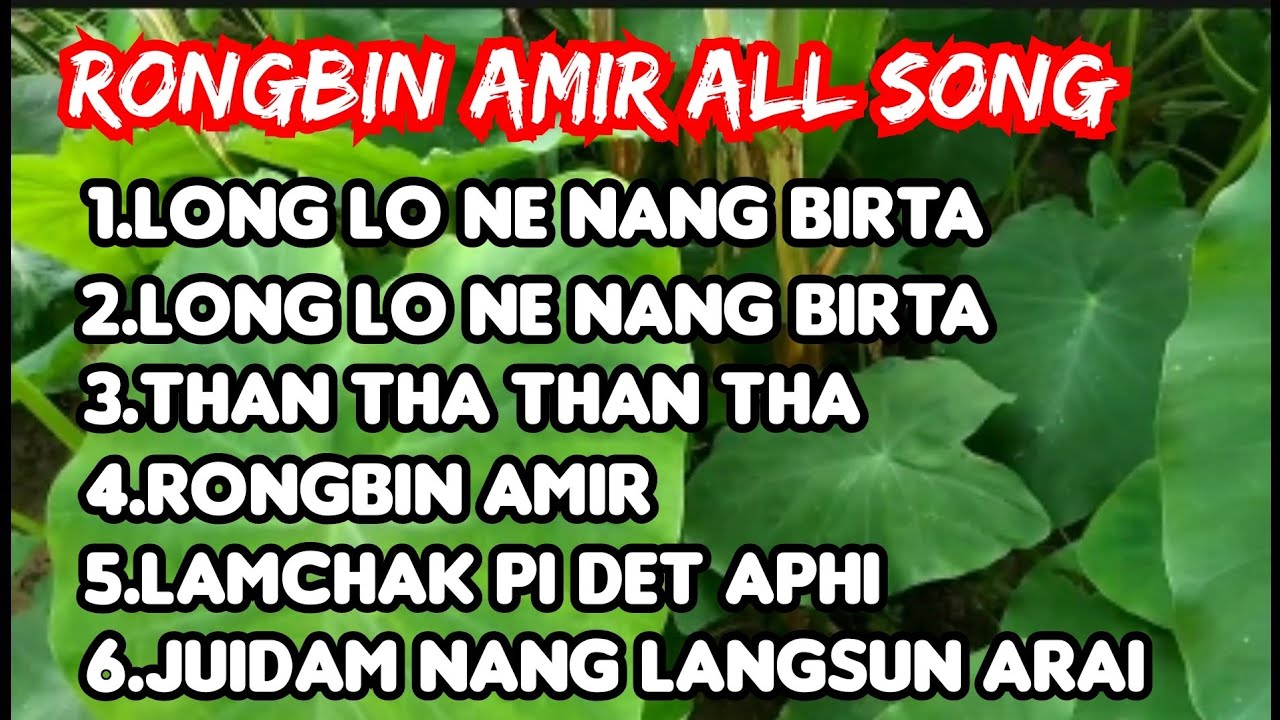 Rongbin amir all song
