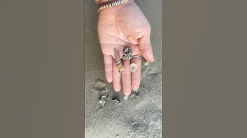 Ý tưởng thủ công từ vỏ ốc biển #createdbynhung #diy #shorts