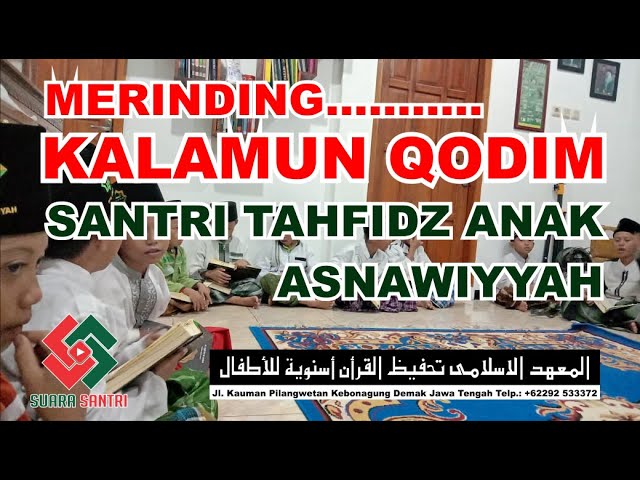 MERINDING....!!! KALAMUN QODIM SANTRI TAHFIDZ ANAK ASNAWIYYAH DEMAK class=