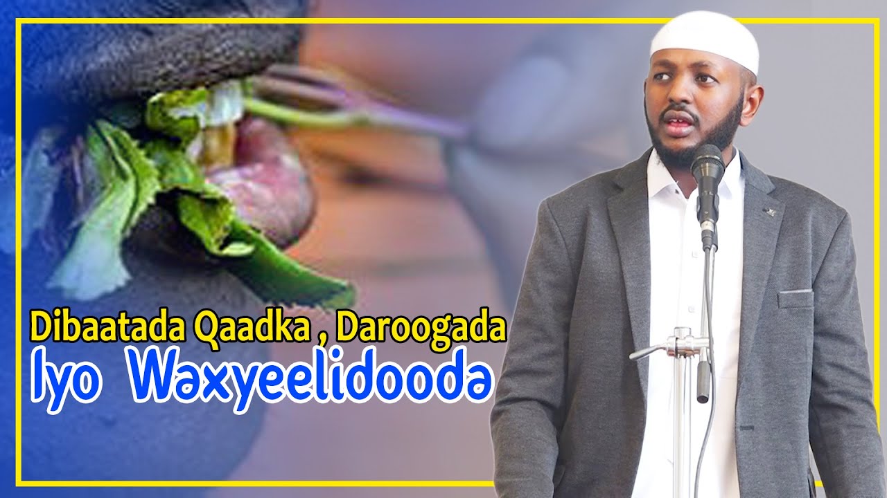 DHIBAATADA QAADKA , DAROOGADA IYO WAXYEELADOODA || Sh Maxamed Sh Cabdiweli