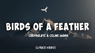 CeeProlific & Celine Wanyi - BIRDS OF A FEATHER (Lyrics Video)