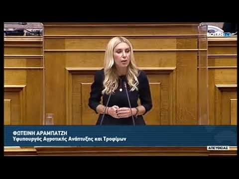 Φωτεινή Αραμπατζή Βουλή