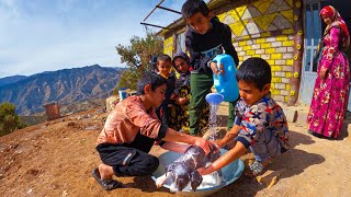 Life in the forest: Puppies being washed by children