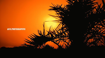 Snapseed Tutorial: How to edit landscape photo (Sunset)