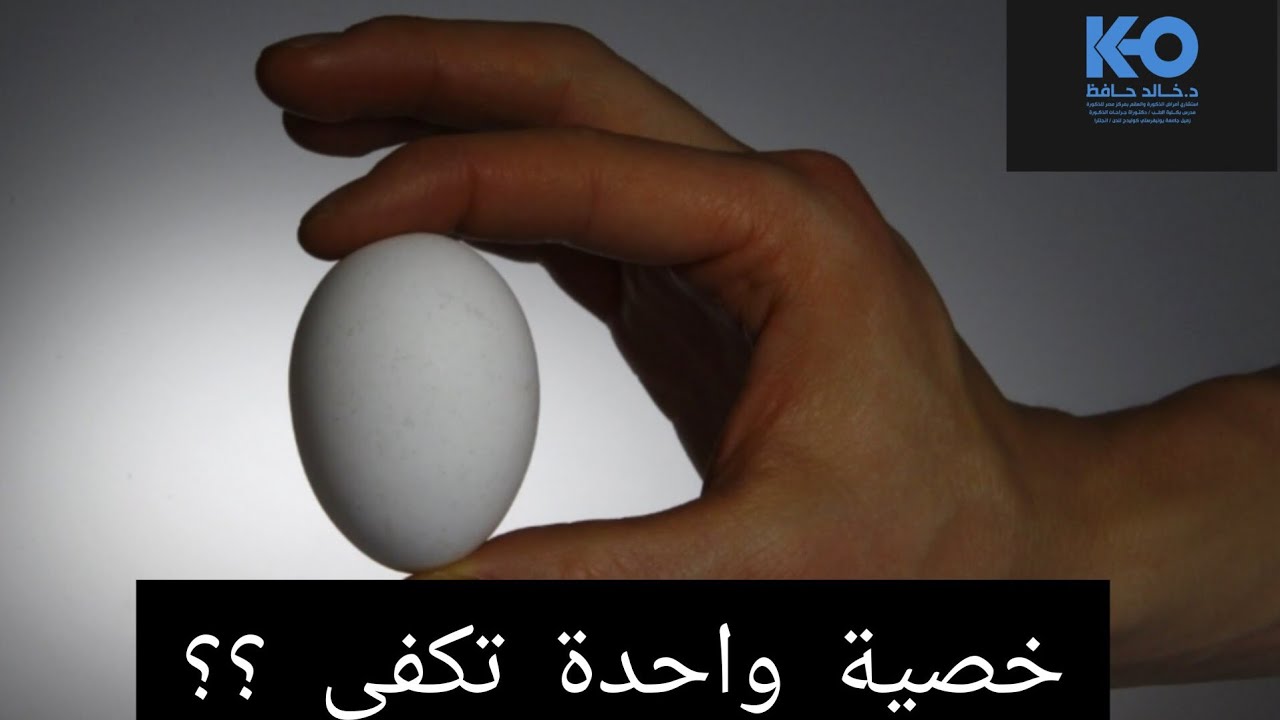 عنده خصية واحدة فقط - هل هيقدر يتجوز و ينجب بهذه الخصية الوحيدة ؟؟ 🤔🤔