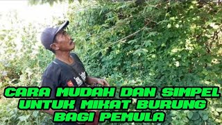 dengan cara pikat ini pemula akan lebih mudah mikat burung yang mengerti pulut