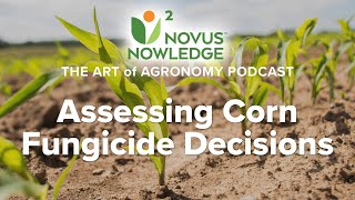 Ep. 5 - Assessing Corn Fungicide Decisions (Video) | N2 Agronomy