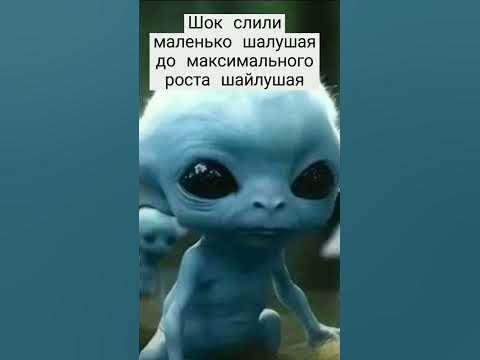 шокк - YouTube