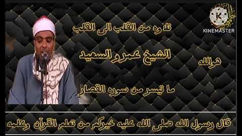القارئ الشيخ عمرو السعيد القارئ بجمهورية مصر العربية ما تيسر من القصار