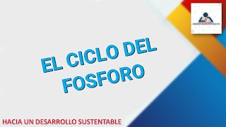 EL CICLO DEL FOSFORO