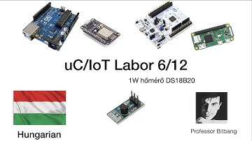 uC Lab 2 - 6/12 : 1W hőmérő