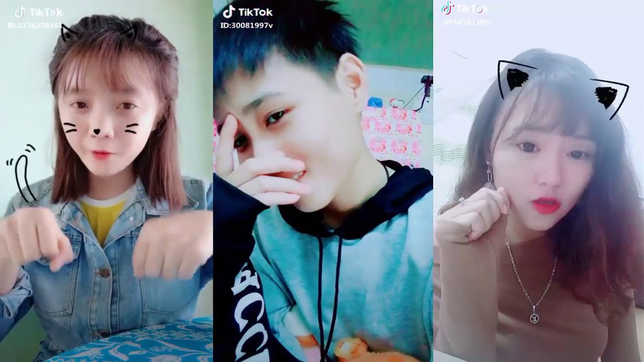 Học tiếng mèo kêu mp3 | tik tok màn ghép  video HỌC MÈO KÊU phiên bản hài hước nhất