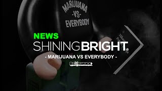 "MARIJUANA VS EVERYBODY" BE@RBRICK BY SHINING BRIGHT