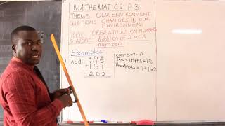 Famous Mathematics Primary Three Net Worth
