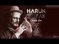 Harun Kolçak - Gitme Seviyorum (feat. Tan Taşçı) (Official Audio) Mp3 Song