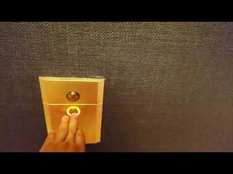 CASINO SLOT MACHINES Mega Win Midas Golden Touch Book Of Ra Dog House Skyvegas
