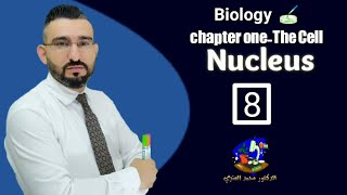 احياء / مدارس المتميزين  Lesson eight  || Nucleus | | Biology ?