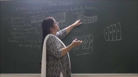 Bio-IX-2-05 Epithelia tissue of animals,  Pradeep Kshetrapal channel