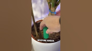 Third Reality Moisture Sensor