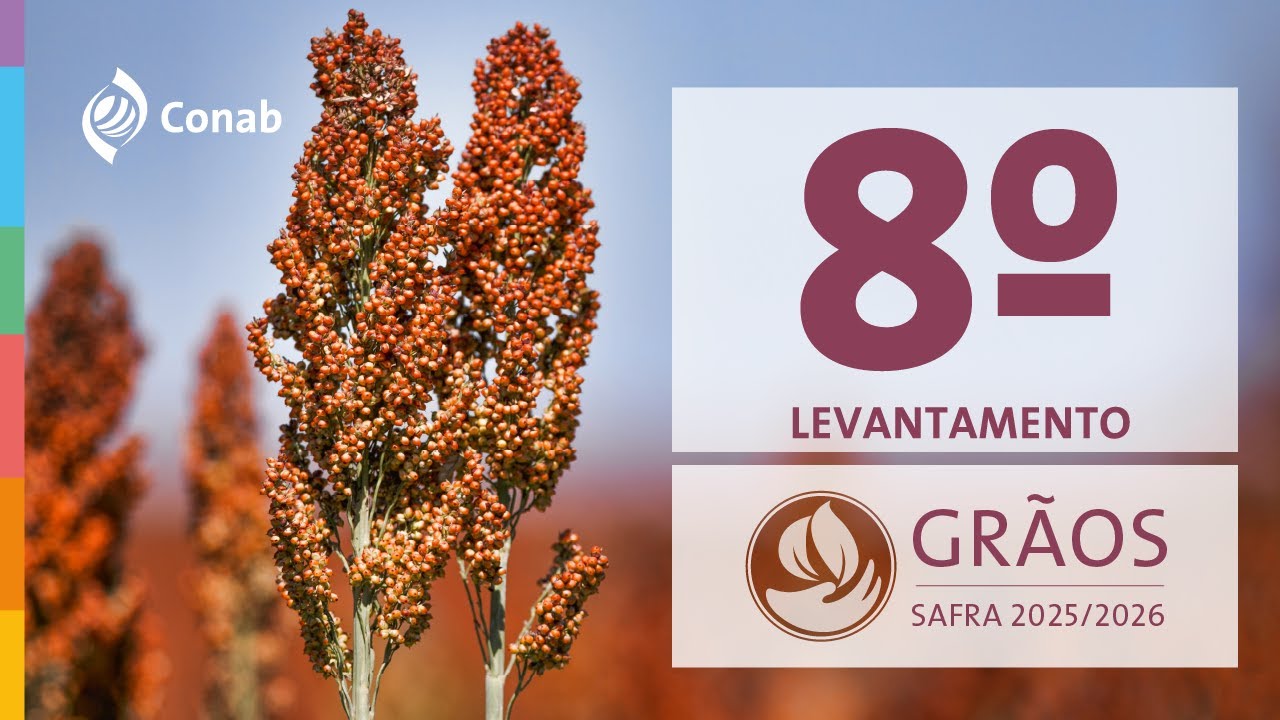 BRASIL CONAB  8º Levantamento da Safra de Grãos 2025/2026 Jornal da Agricultura