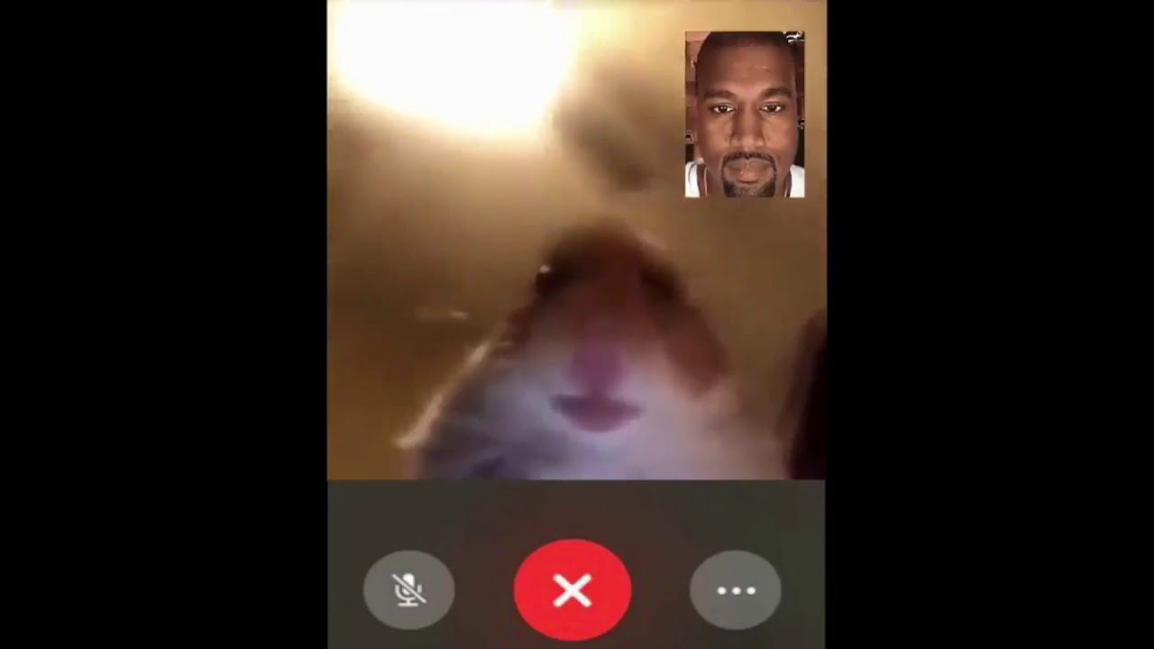 Hamster and Kanye's Awkward Facetime Call - YouTube