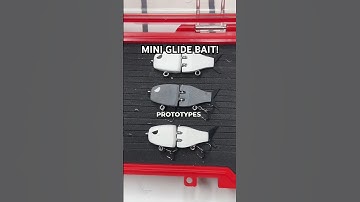 2024 Mini Glide Bait That