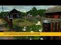 В Беларусь возвращается  мода на загородное жилье. Кто покупает «домик в деревне»?