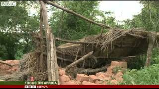 BBC News   Zimbabweans forced to live side by side with wild animals