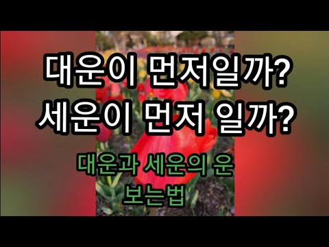대운과 세운을 같이 볼때