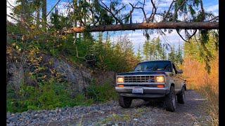 1988 Ford Bronco II soft roading in the PNW screenshot 4