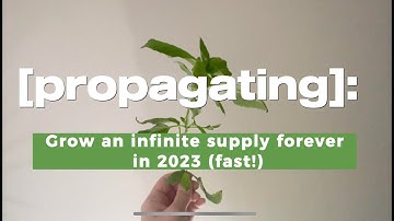 [Propagating]: Grow an Infinite Supply Forever in 2023 (Fast!)