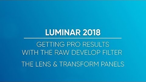 Getting Pro Results with the RAW Develop Filter - The Lens & Transform Panels