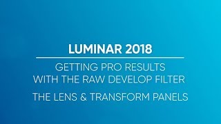 Getting Pro Results with the RAW Develop Filter - The Lens & Transform Panels