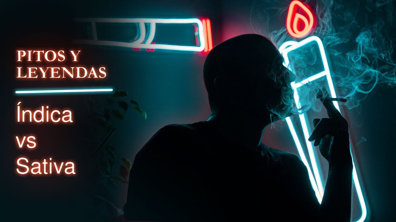 ÍNDICA VS SATIVA // MITOS SOBRE LA MARIHUANA