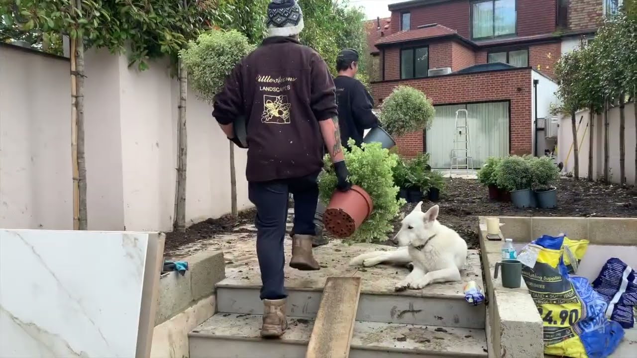 Вечнозеленый сад