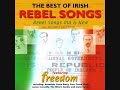 Freedom - The Best Of Irish Rebel Songs | 30 Songs  | Full Album