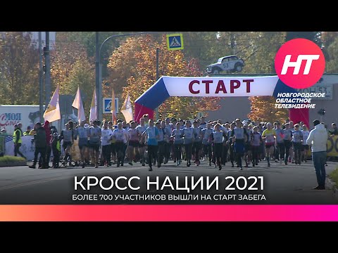 Более 700 человек стали участниками новгородского этапа «Кросса нации»
