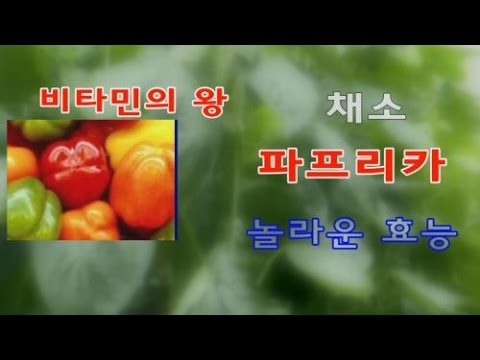 파프리카 놀라운 효능