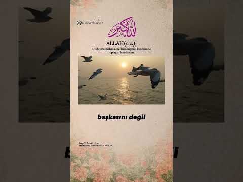 Sensin Allah(c.c.) Sanadır