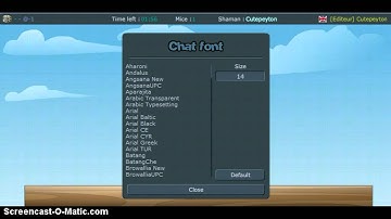 How to Change Your Font and Size (Transfomrice)