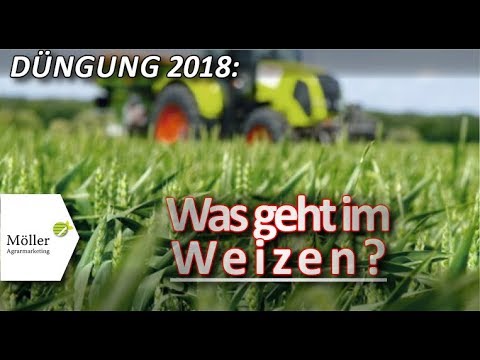 Dnger streuen im Weizen - Stickstoffbedarfswert im Frhjahr berechnen!  Weizen dngen!