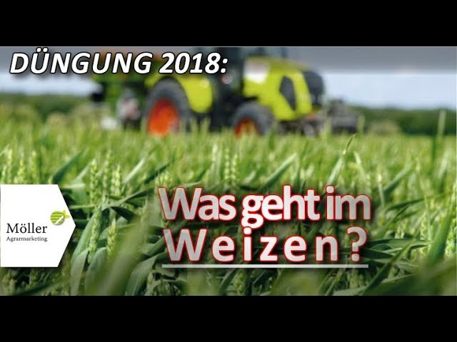 Dnger streuen im Weizen - Stickstoffbedarfswert im Frhjahr berechnen!  Weizen dngen!