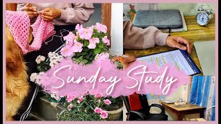 [Sunday Study Vlog🌸] A day in life of an IAS Aspirant || Room Tour || Crocheting